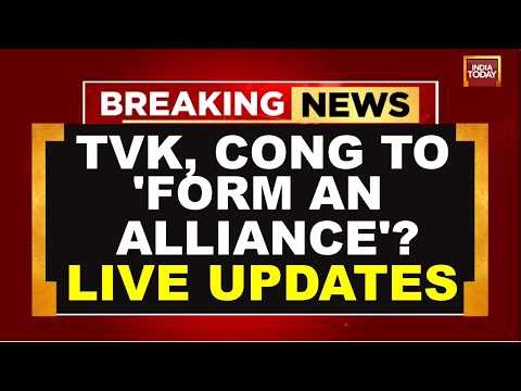 TVK Vijay News LIVE: TVK, Congress To 'Form An Alliance' | TVK Vijay | Tamil Nadu Election Results