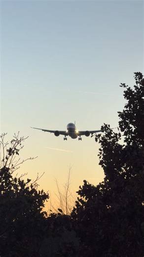 Beautiful ANA 787-9 landing at FRA ☀️ #boeing #b787 #dreamliner #plane #planespotting | Pilotstories