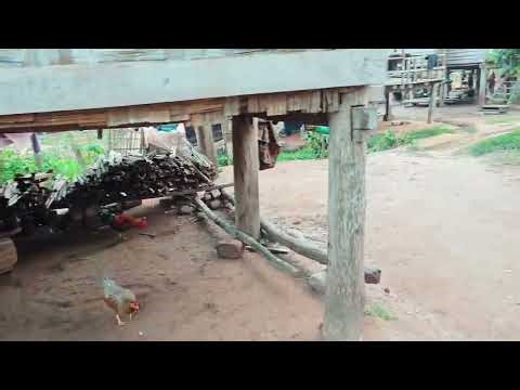 Hmong Village at Luang Namtha (Laos)