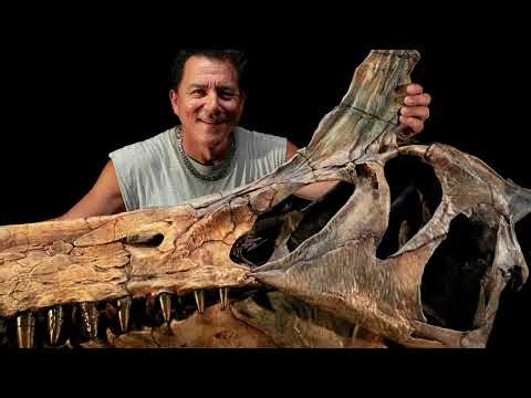 Top 10 Bizarre Anomalies That Remain Unexplained Today