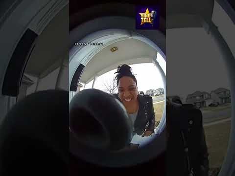 The Wildest Porch Pirate Moments of the Month 🎨💥 (Caught on Camera)