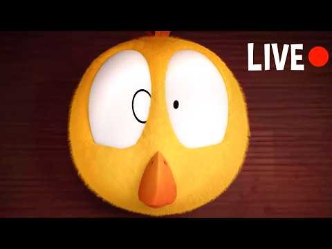 WHERE'S CHICKY TV | SEASONS 1-3 & ALL EPISODES 🔴 LIVE CARTOON | Best Cartoon Collection for Kids