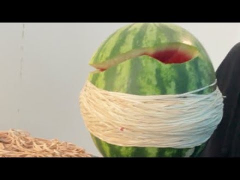 EXTREME WATERMELON EXPLOSION!!!