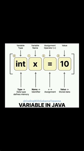 What is a VARIABLE in Java Programming 💡👉 Variable in Java Explained | int x = 10 | Java Basics 💯✨