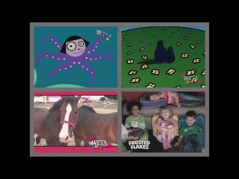 PBS Kids Program Break (2003 WETA) #7