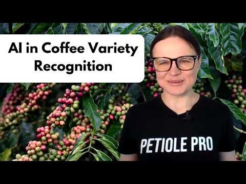 Role of AI in Coffee Variety Recognition to Support Breeding and On-Farm Practices - Philippines