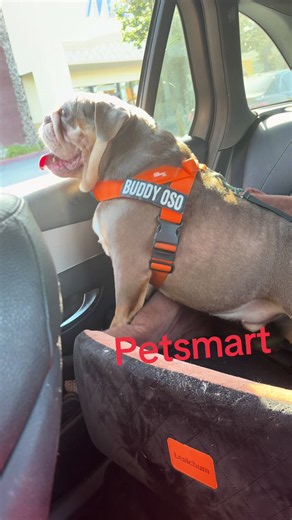 #BuddyOso #explore #fyp #petsmart #shopping Quality time with mom. | petsmart