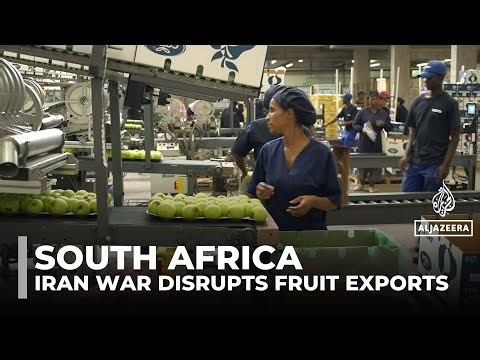 South African fruit exports face delays as Iran war disrupts global shipping routes