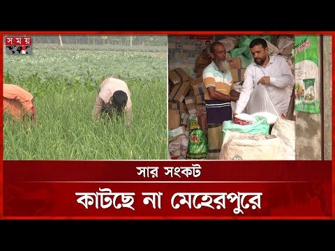 সার নিয়ে কারসাজি, দুশ্চিন্তায় কৃষক | Meherpur News | Fertilizer Crisis