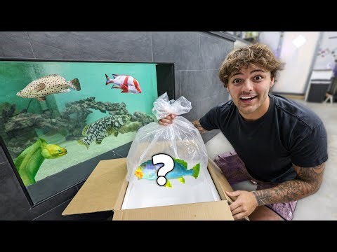 I FINALLY BOUGHT the FISH You All Wanted…