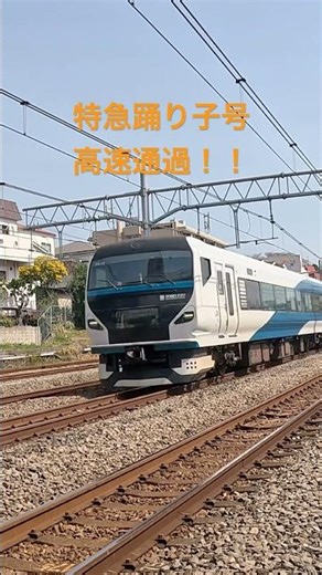 E257系踊り子号！ #jr東日本 #鉄道