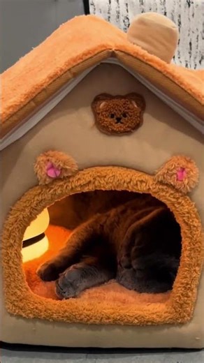 Cozy, warm, and foldable comfort ✨ #dhgate #dhgatefinds #coolgadgets