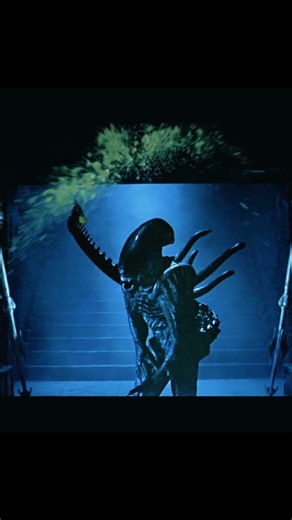 Predator vs Alien Antarctic Bloodbath 🩸❄️