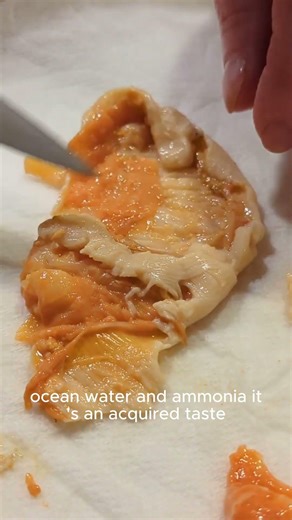 Alien Food? 👽 The "Sea Pineapple" Challenge