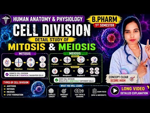 Cell Division Explained 🔬 | Mitosis & Meiosis Complete for medical student B Pharma 