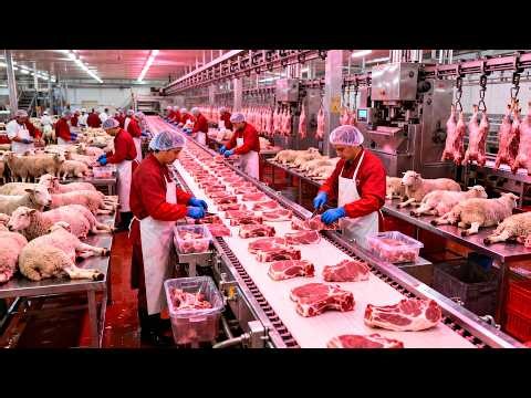 How Sheep Meat is Made in Factory 🐑🐑