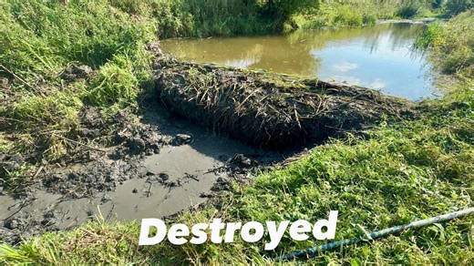 Flash flood unleashed, beaver dam removal with drone footage