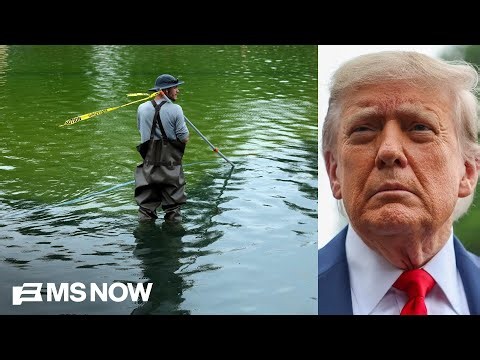 NYT: Government docs on reflecting pool contradict Trump