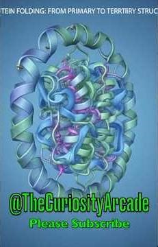 AlphaFold I Google DeepMind #science #ai #artificialintelligence #protein #structure #algorithm