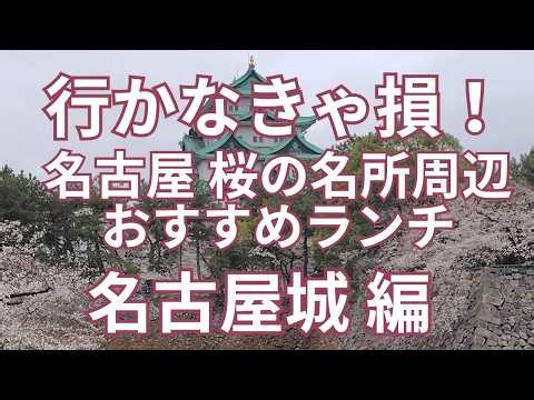 行かなきゃ損！桜の名所周辺のおすすめランチ 名古屋城 編 老舗そば店から天丼、ラーメン、うなぎの名店まで