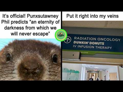 Absurd Memes That Somehow Make Everything Funny