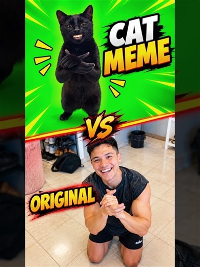 WHY IS THIS CAT MEME SO VIRAL? 😳#clappingcat