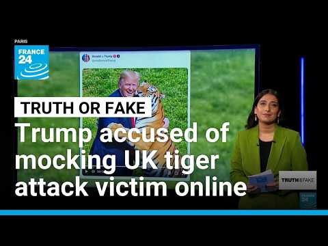 Trump sparks outrage over AI tiger video after sharing footage of fatal UK attack • FRANCE 24