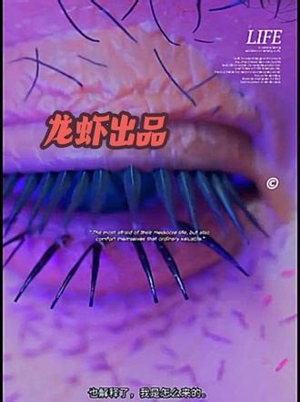 Openclaw做出来的视频效果#github #github优质项目 #ai视频 #openclaw #opencode