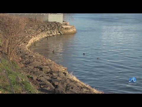 Potomac River tops list of "most endangered rivers" in the U.S.