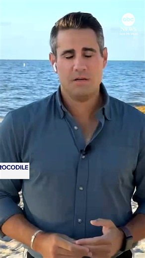 A 28-year-old man is dead after a crocodile attack at a popular vacation destination in Mexico. @ABC News’ @VictorOquendo has the story. https://t.co/MQ2hu8oe2e