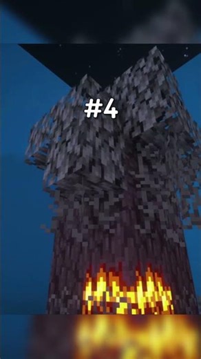 BEST Minecraft Biome Revealed #Minecraft #shorts