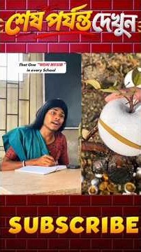 #bts