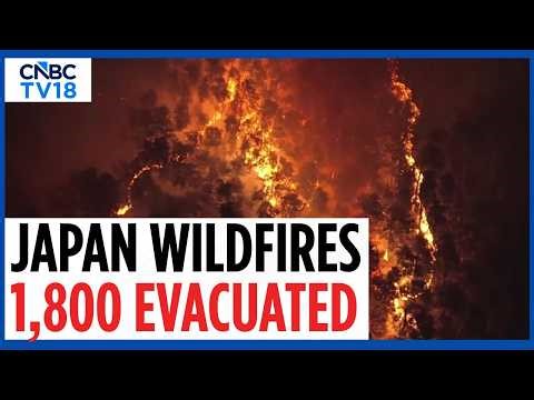 Japan Wildfire Crisis | Japan Wildfires Force Over 1,800 To Evacuate In Iwate | N18V