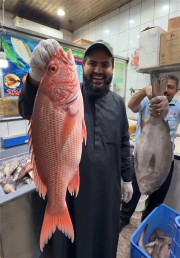 Inside Madinah’s Fish Market: An Incredible Experience 🐟