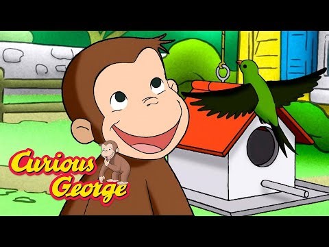 Thats the Birds Food! 🐵 Curious George 🐵 Kids Cartoon 🐵 Kids Movies