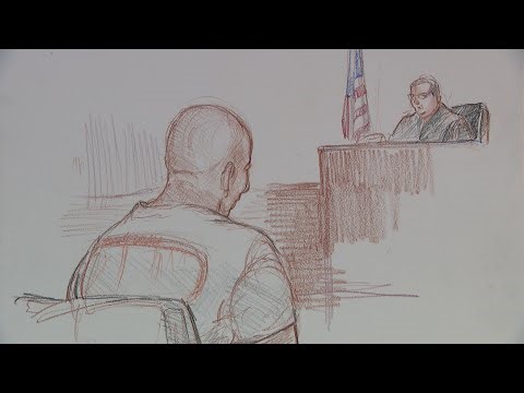 DETAILS: Charges against accused Chicago cop killer, next steps in court