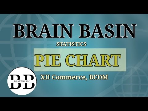 PIE CHART (STATISTICS) XII Commerce BCOM BRAIN BASIN