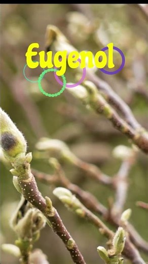 Why Plant Kill It's Buds "#Volatileoil#Abscisicacid#Jasmonate#Secondarymetabolites#Shorts#clovebuds