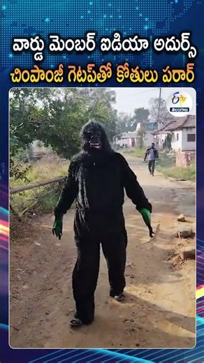 Chimpanzee Costume Idea To Scare Away Monkeys