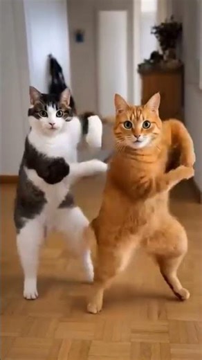 Cute Cat Moments 😻 | Must Watch #ShortsFunny Cat 😹 | Try Not To LaughCat Being Adorable 🐾❤️ #Shorts