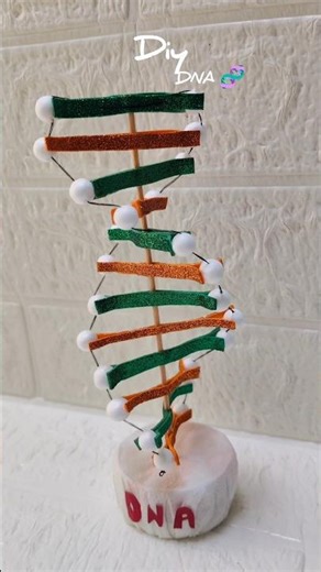 Today diy is dna 3D model#diy #viral #ytshorts #craft #trending #collegeproject #3dmodel #dna