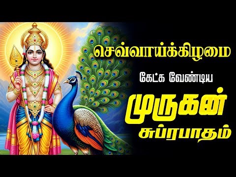 🔴LIVE SONGS | புதன்கிழமை கேட்க வேண்டிய முருகன் சுப்ரபாதம் Murugan Suprabatham Tamil Suprabhatam