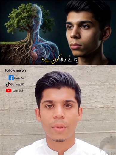 Exploring Life's Balance: A Deep Reflection