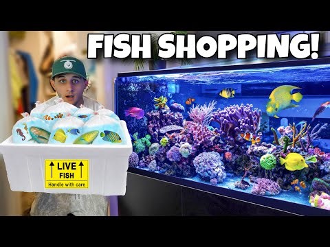 FISH SHOPPING SPREE For My SALTWATER REEF TANK!!