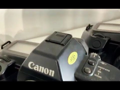 Which Canon EOS cameras have Black Hot Shoes