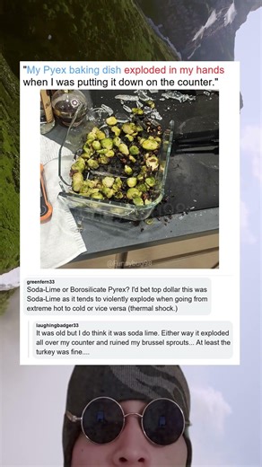 When Your Pyrex Explodes And Only Turkey Survives