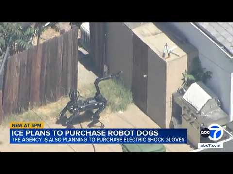 ICE plans to purchase robot dogs