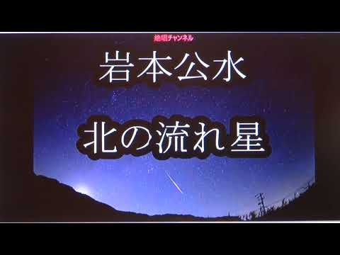 北の流れ星 岩本公水