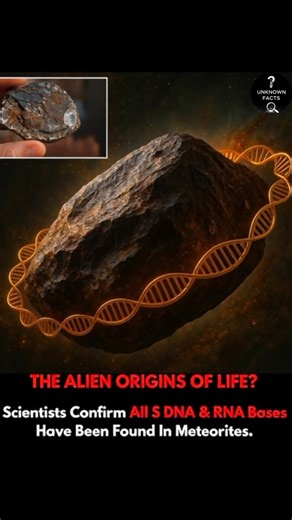 86K views · 243 reactions | THE ALIEN ORIGINS OF LIFE? Scientists Confirm All 5 DNA & RNA Bases Have Been Found In Meteorites. | Unknown Facts | Facebook