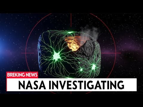 BREAKING: 3I/ATLAS Just Changed Behavior – NASA Investigating Possible Organism